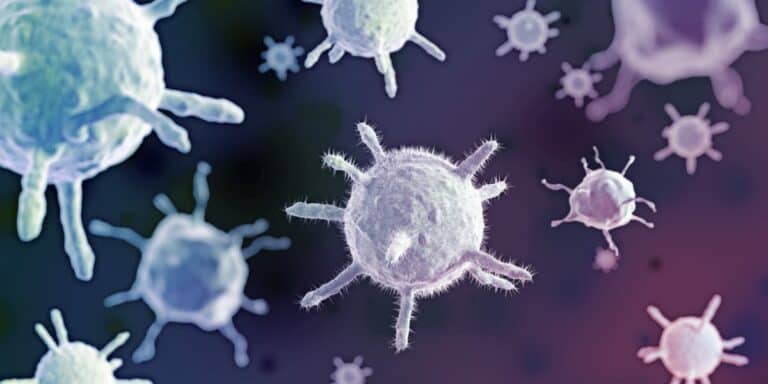 coronavirus notfallplan